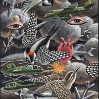 Morgan Bulkeley'swork, Book: Black-capped Chickadee, Downy Woodpecker, et al Mask